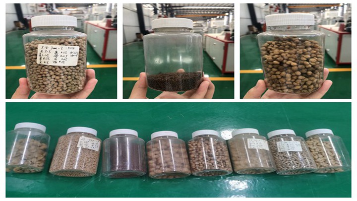 wet type Goldfish feed making machine in the Philippines